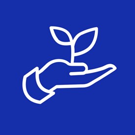 sustain
